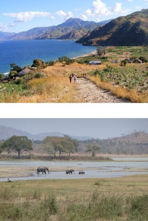 Usisya - Vwaza National Park 